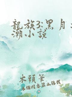龙族3:黑月之潮小说