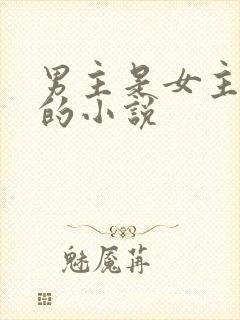 男主是女主哥哥的小说