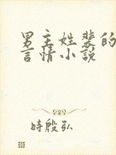 男主姓裴的现代言情小说