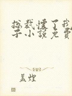 总裁怀了我的孩子小说免费阅读