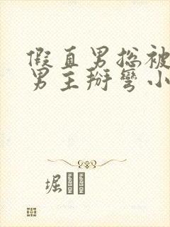 假直男总被言情男主掰弯小说