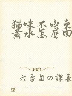 猫咪不吃东西吐黄水怎么回事