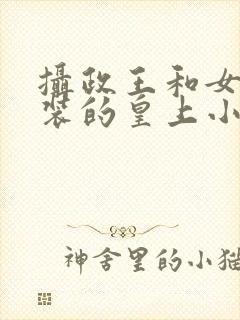 摄政王和女扮男装的皇上小说