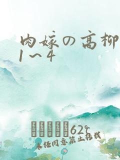 肉嫁の高柳动漫1～4