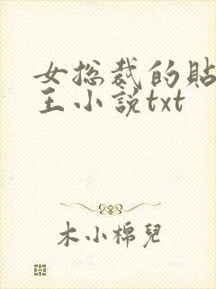 女总裁的贴身兵王小说txt