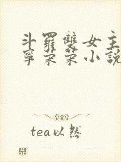 斗罗双女主cp宁荣荣小说推荐