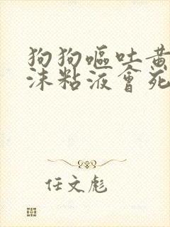 狗狗呕吐黄水泡沫粘液会死吗