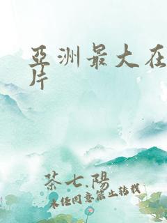 亚洲最大在线看片