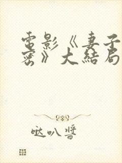 电影《妻子的秘密》大结局