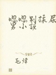 嗯嗯别揉尿h男男小说