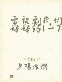 电视剧我们都要好好的1一76集全集免费观看