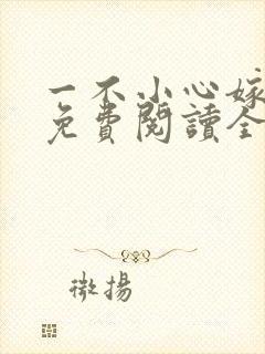 一不小心嫁总裁免费阅读全文