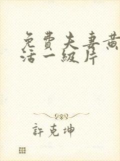 免费夫妻黄色生活一级片