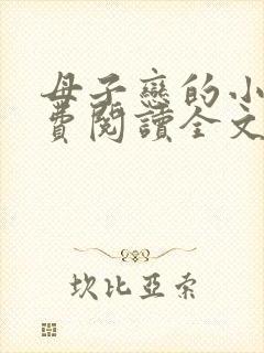 母子恋的小说免费阅读全文