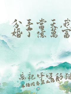 分手当天,我闪婚了亿万富豪听小说