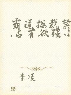 霸道总裁禁欲系,占有欲强小说