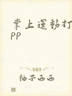 掌上运动打卡app