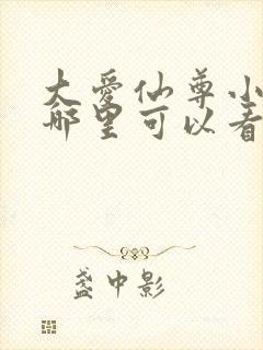 大爱仙尊小说在哪里可以看