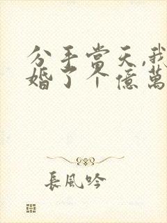 分手当天,我闪婚了个亿万富翁完整版