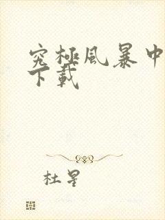 究极风暴中文版下载