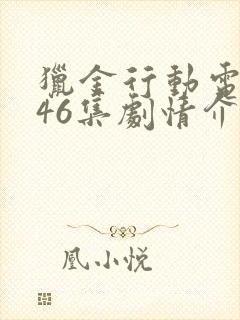 猎金行动电视剧46集剧情介绍