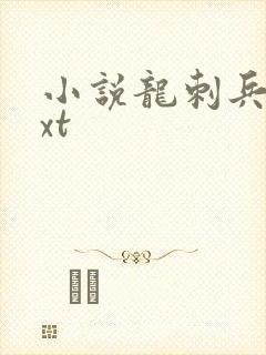 小说龙刺兵王txt