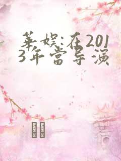 华娱:在2013年当导演