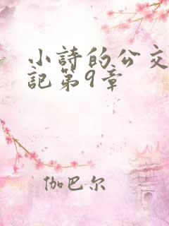 小诗的公交车日记第9章