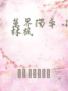 万界独尊 小说林枫