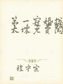 第一宠婚总裁别太坏免费阅读全文