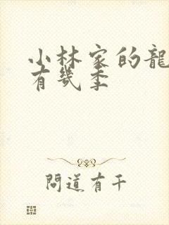 小林家的龙女仆有几季