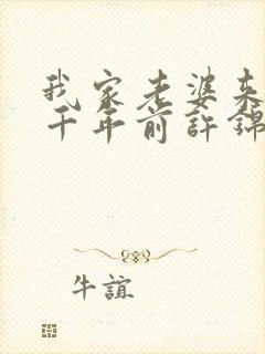 我家老婆来自一千年前许锦