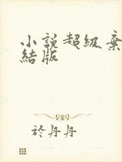 小说超级弃婿完结版