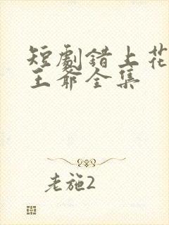 短剧错上花轿嫁王爷全集