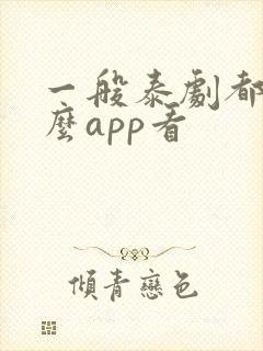 一般泰剧都用什么app看