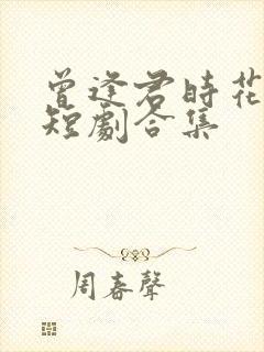 曾逢君时花照眼短剧合集