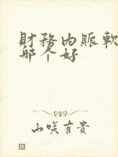 财务内账软件用哪个好