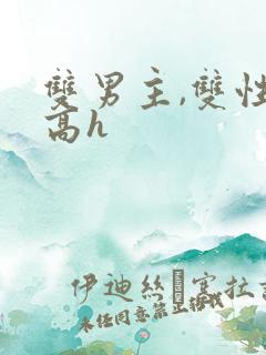 双男主,双性,高h