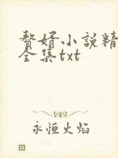 赘婿小说精校版全集txt