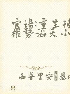 官场:重生后我权势滔天小说