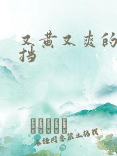 又黄又爽的无遮挡