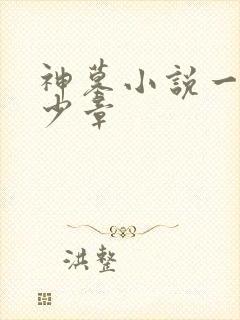 神墓小说一共多少章