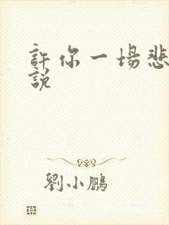 许你一场悲欢小说