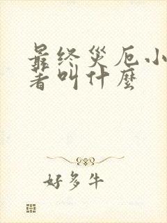 最终灾厄小说原著叫什么