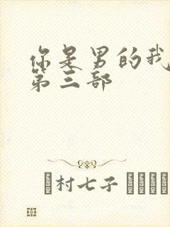 你是男的我也爱第三部