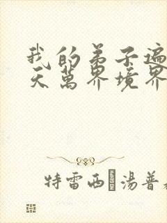 我的弟子遍布诸天万界境界划分