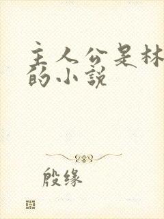 主人公是林小雨的小说