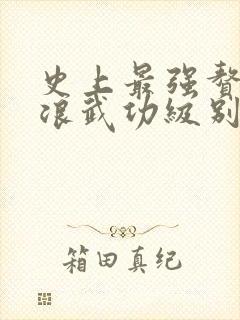 史上最强赘婿沈浪武功级别