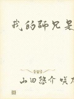 我的师兄是悟空