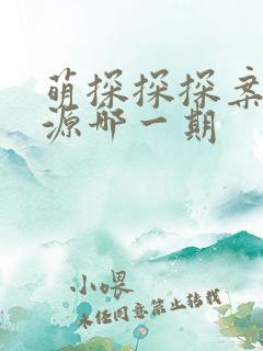 萌探探探案张真源哪一期